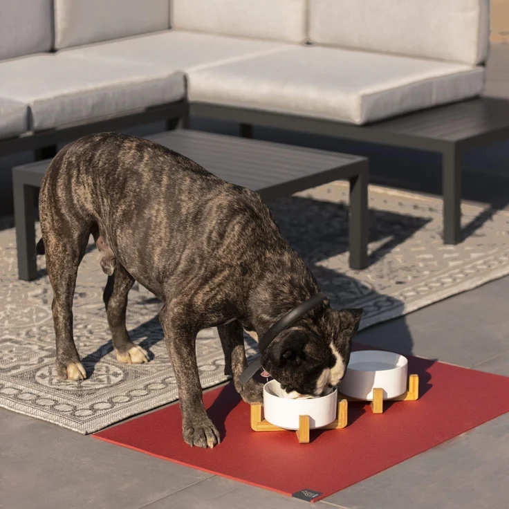 SanoZoo® - Napfunterlage - Made in Germany - rutschfeste Futtermatte für Hunde & Katzen, Set: 2X 30x40 cm Olivgrün – Bild 4