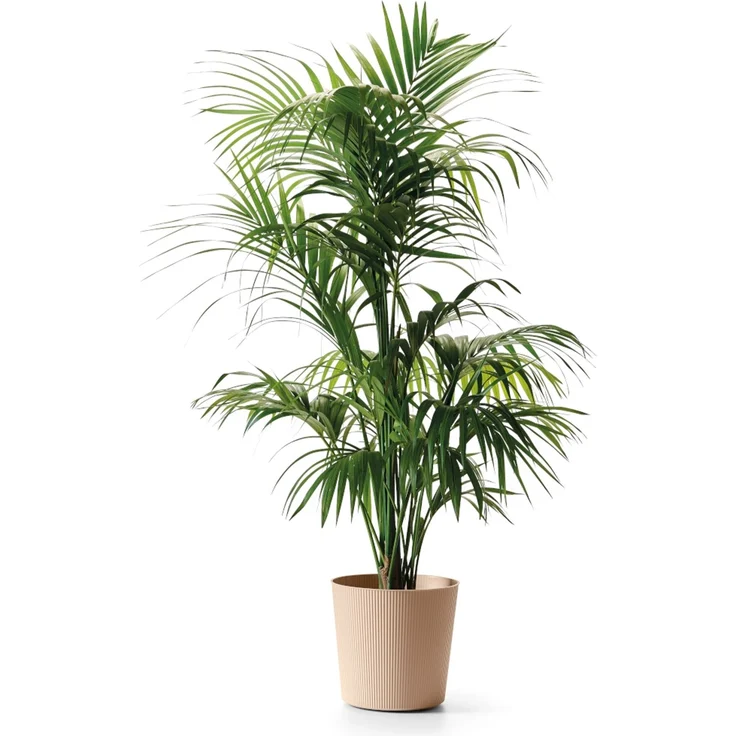 Bl.-Topf FYRE 35cm dune – Bild 3