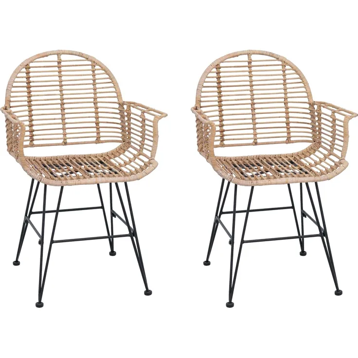 vidaXL Esszimmerstuhl 2 pcs Natur 44 x 44 x 74 cm Rattan und Eisen 42011558