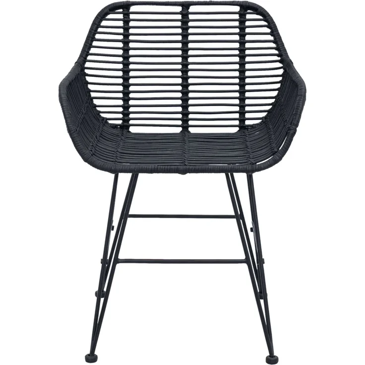 vidaXL Esszimmerstuhl 2 pcs Schwarz 55 x 50 x 74 cm Rattan und Eisen 42011557 – Bild 4