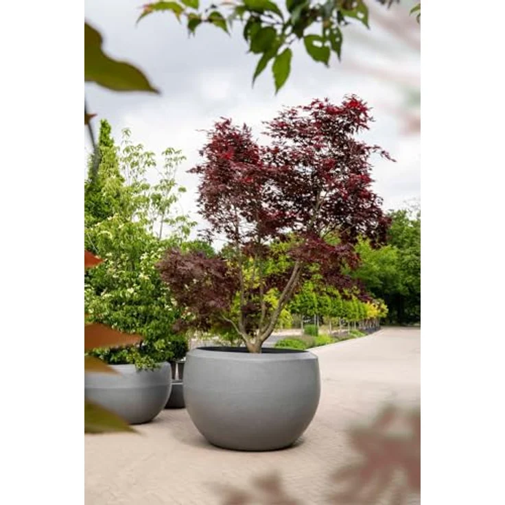 Capi Europe Übertopf rund Arc Granite, Anthrazit, Ø 67 cm x H 45 cm, leicht, bruchsicher, frost- und UV-beständig, für Innen- und Außenbereich – Bild 6