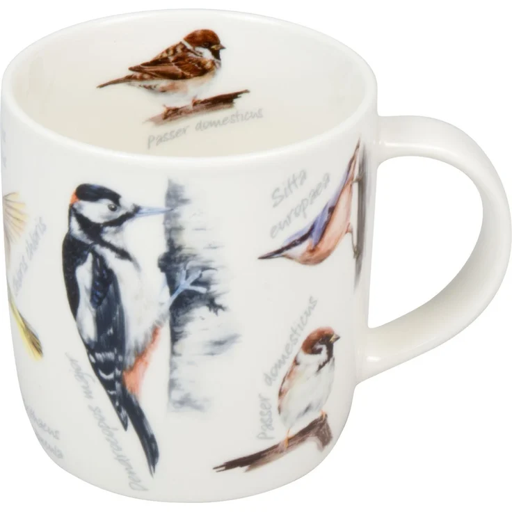 KÖNITZ 1172752976 Becher Natures Diversity - SINGVÖGEL 400 ml aus Bone China Porzellan / Artenvielfalt – Bild 4