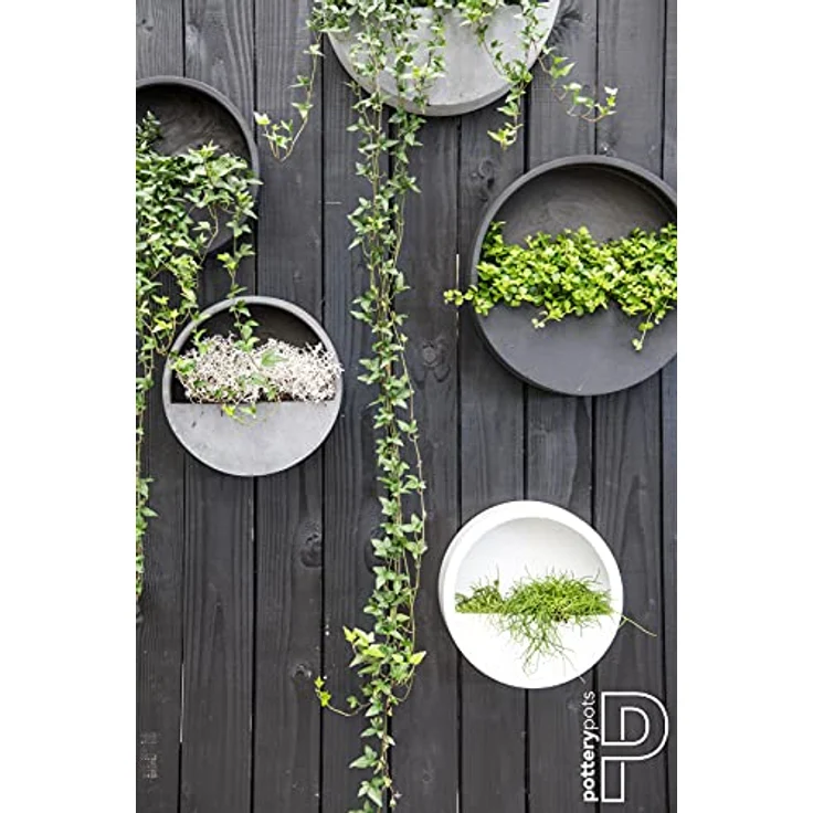 finestgreen Pflanzkübel Hanging Wally Wandgefäß, aus Fiberstone, wasserdicht, frostfest und UV-beständig – Bild 7