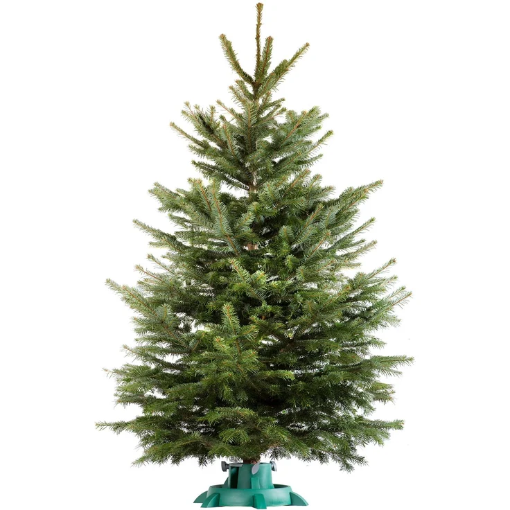 KADAX Weihnachtsbaumständer Weihnachtsbaumständer Weihnachtsbaum bis 3 m – Bild 6