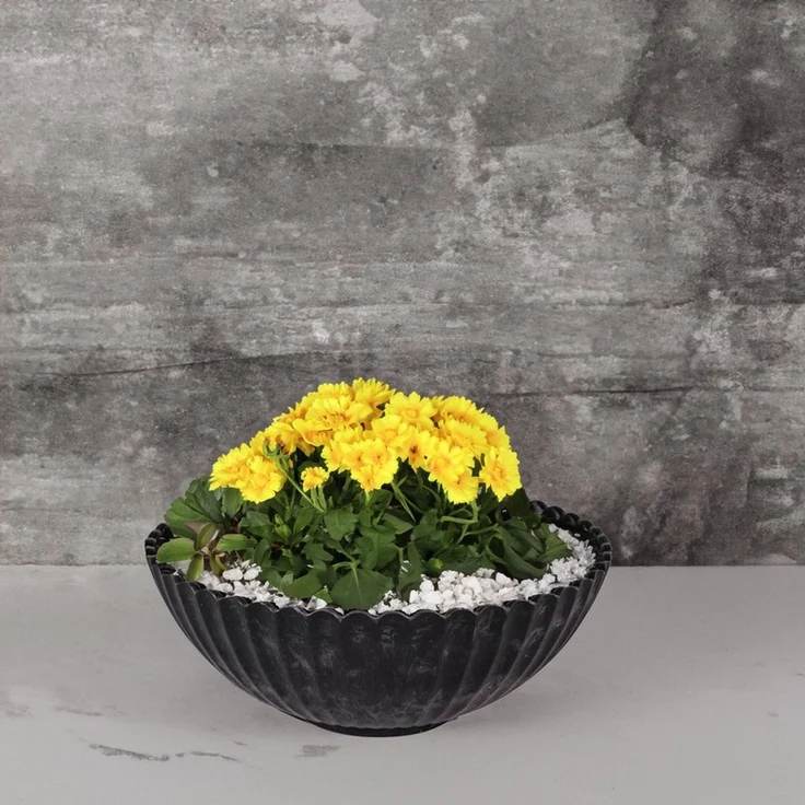 matches21 HOME & HOBBY Blumentopf Dekoschale runde Pflanzschale für draussen schwarz marmoriert 16 cm (1 St), Blumen-Schale als wetterfeste Friedhof-Schale Grab-Schmuck Grabschale – Bild 3