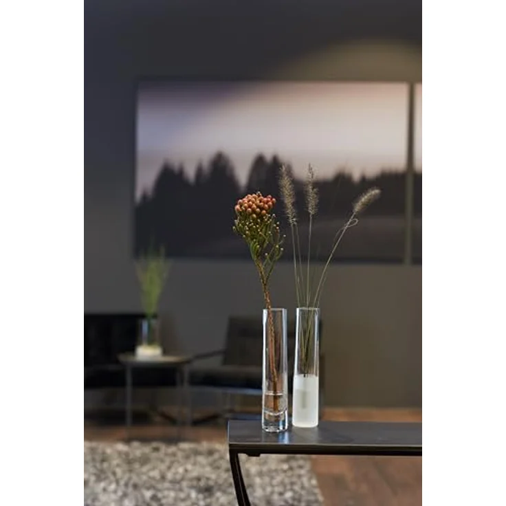LEONARDO HOME Novara Deko-Vase, schmale zylinderförmige Solifleurvase aus satiniertem Glas, Höhe 24 cm, Durchmesser 5,2 cm, Volumen 270 ml – Bild 4