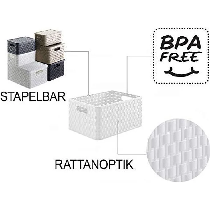 Rotho Korb Country A4, 18 L mistletoe weiß – Bild 3