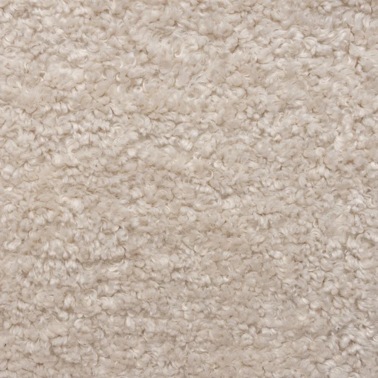 DOMO. collection Sessel 700 016, Polstersessel, rund, gepolsterte Rückenlehne, Füße mit Filzgleitern, Armsessel, Polsterganitur, 73 x 75 x 76 cm (BxTxH), beige – Bild 5