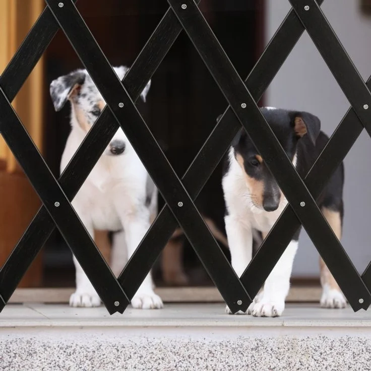 Relaxdays Hundeabsperrgitter ausziehbar bis 126 cm, 70-82 cm hoch, Bambus, Hunde Schutzgitter, für Treppe & Tür, Schwarz – Bild 5