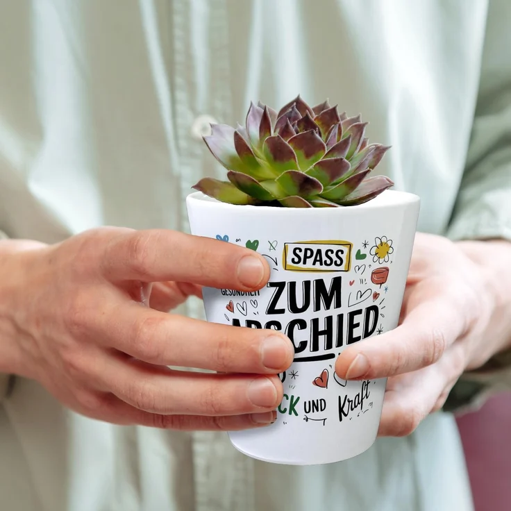 speecheese Blumentopf Wünsche Zum Abschied Blumentopf für Kollegen und Freunde – Bild 5