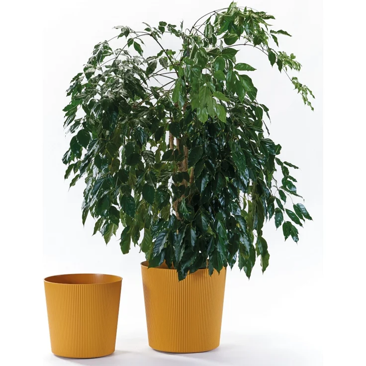 Bl.-Topf FYRE 35cm mango – Bild 3
