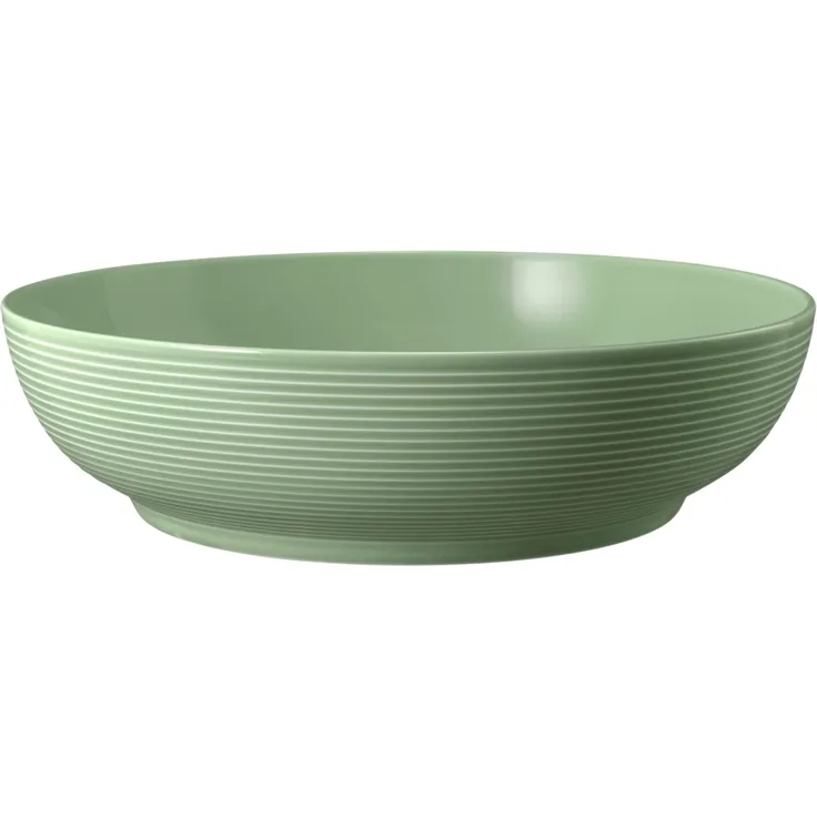 Seltmann Beat Foodbowl 25 cm grün
