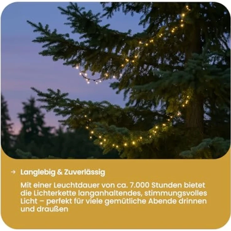 Star LED-Lichterkette 'Akku', 160 warmwhite LED, – Bild 6
