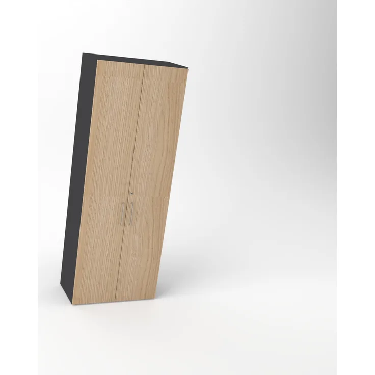 Rheinland Möbel Flügeltürenschrank Cabino 80×42×216 cm – abschließbarer Aktenschrank 6OH in Graphit/Eiche mit 110° Drehtüren & Metallgriff