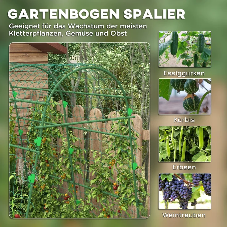 Rankgitter Rankhilfe für Kletterpflanzen verstellbares Spalier Pflanzengitter mit Netz Pflanzengerüst für Garten Balkon Stahl grün 144 x 167 x 206 cm--Grün--167x144x206cm--YOUDENOVA – Bild 4