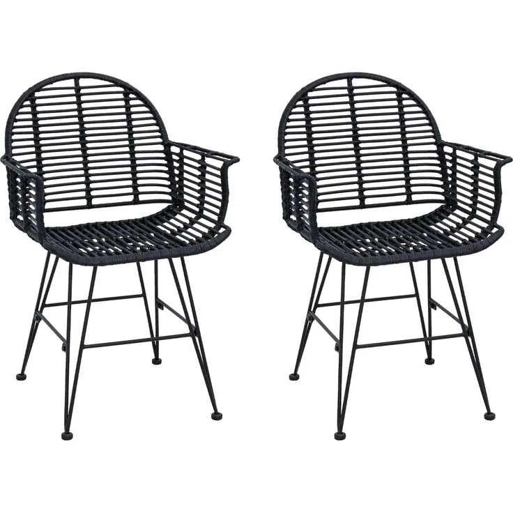 vidaXL Esszimmerstuhl 2 pcs Schwarz 44 x 44 x 74 cm Rattan und Eisen 42011559