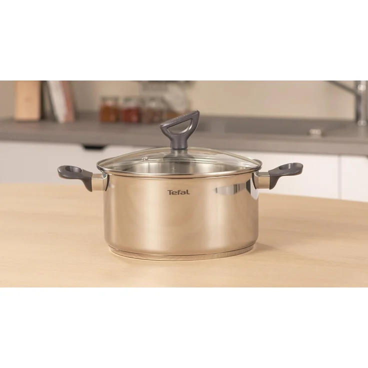Tefal Kochtopf Daily Cook, Edelstahl (2-tlg), 20 cm, Ausgießhilfe, Messmarkierungen, Induktion, backofenfest – Bild 7