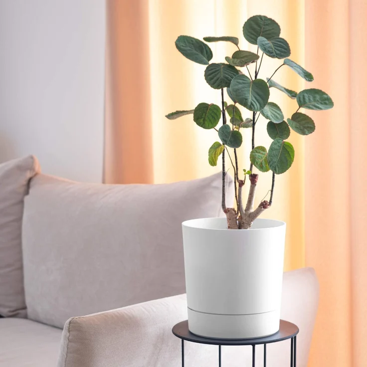 KADAX Blumentopf mit Ständer Aura 350 weiß – Bild 5