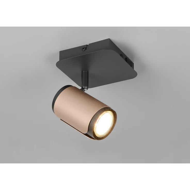 Trio Spot Gillan GU10 schwarz coffee – Bild 7
