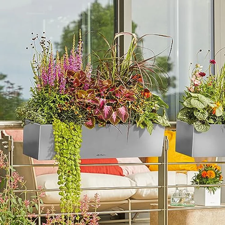 Lechuza Balconera Steel, Balkonkasten aus Edelstahl mit max. Außenlänge 80 cm, perlgrau, mit integriertem Bewässerungssystem – Bild 5