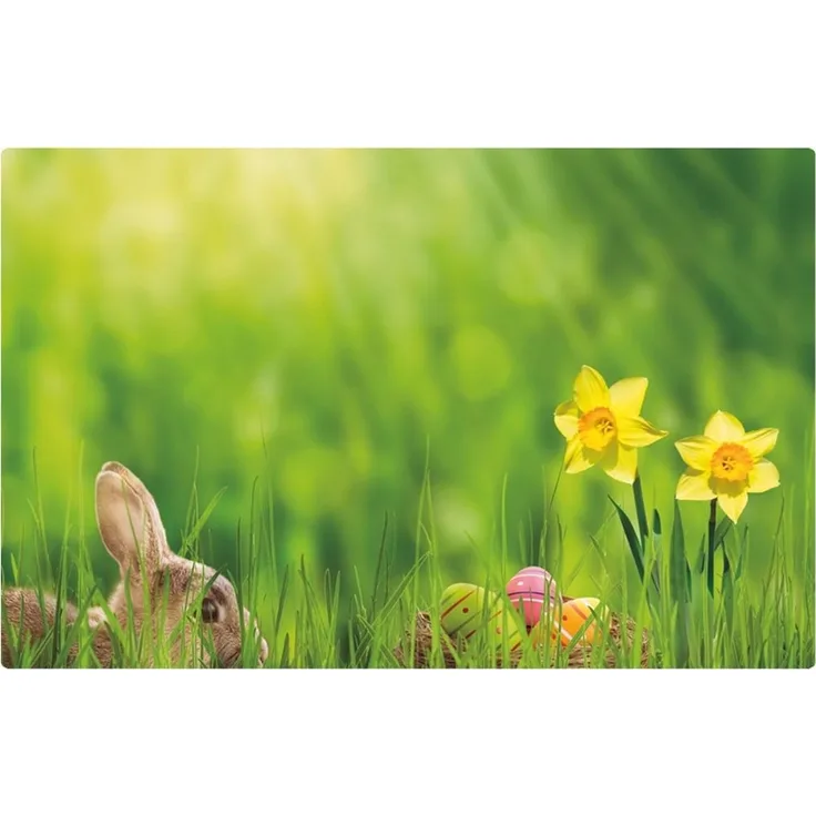 matches21 HOME & HOBBY Platzset Abwaschbare Tischsets 8er Set Ostern Blumen Osterglocken, (8-St), Platzsets als Tisch-Untersetzer und Tisch-Deko für Esstisch Teller