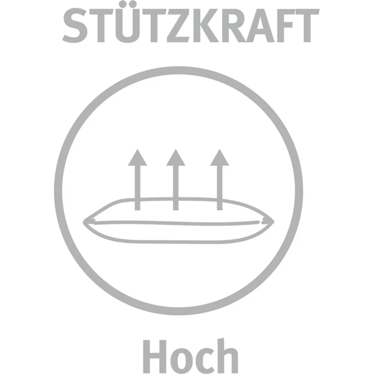 Paradies Kissen Softy Duett Plus Bio 80x80 cm – Bild 5