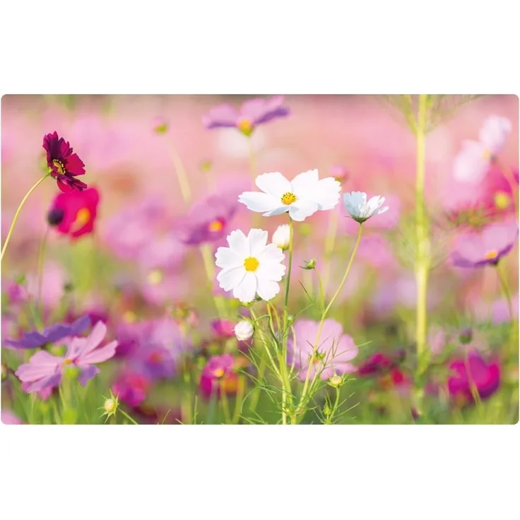 matches21 HOME & HOBBY Platzset Abwaschbares Tischset Blumen-Wiese pink weiß, (1-St), Platzsets als Tisch-Untersetzer und Tisch-Deko für Esstisch Teller
