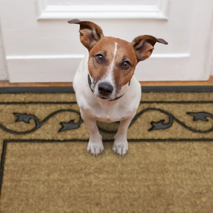 Fußmatte groß 10020205 – Bild 5