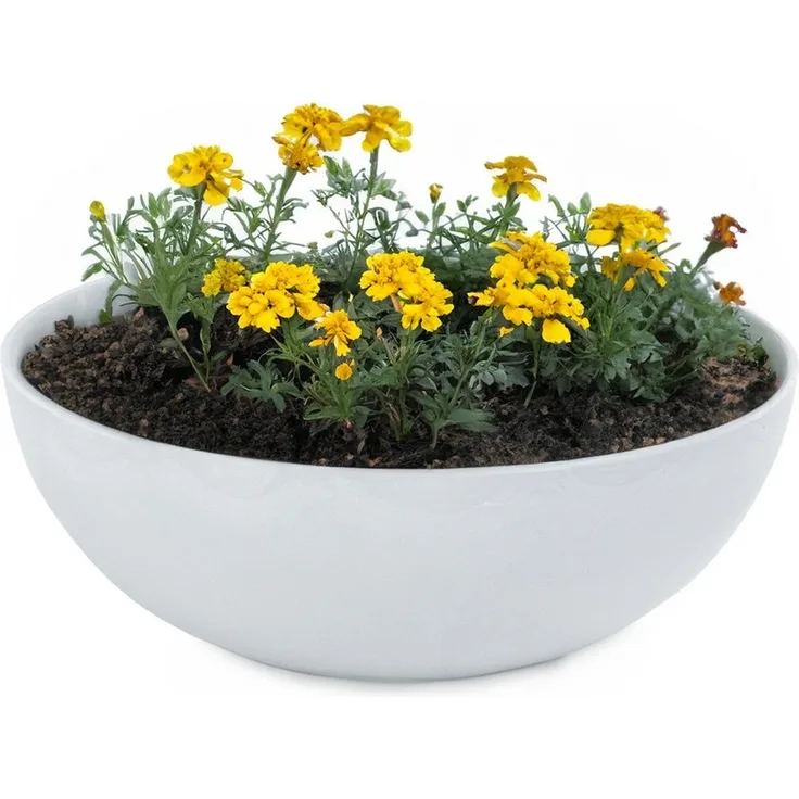 matches21 HOME & HOBBY Blumentopf Runde bauchige 20 cm Pflanzschale für draussen, hell-grau marmoriert (1 St), Wetterfeste Blumen-Schale als moderne Gartendeko Grabschmuck