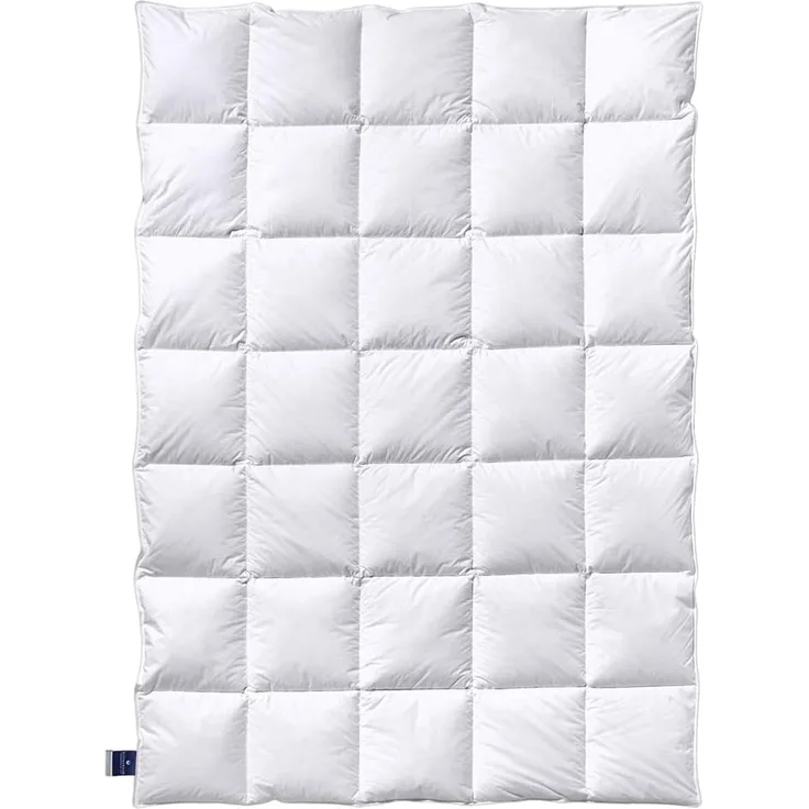 billerbeck Almira 302 Daunendecke 155x220 Mono