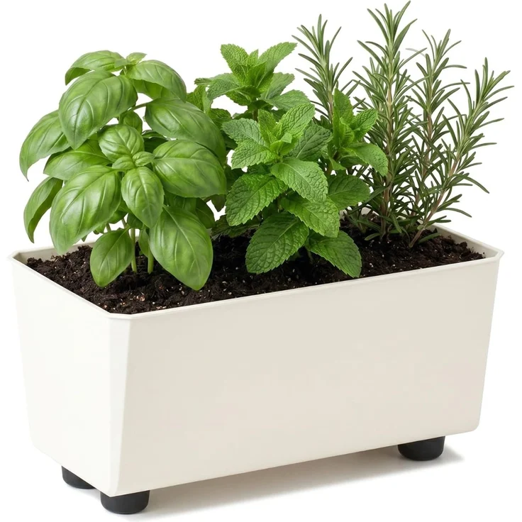LAMELA Rechteckiger Pflanzkasten mit eleganten Füßen – Cremefarbener Blumenkübel aus robustem Kunststoff 28,5x17 cm, 4,2L – Wetterfest & Pflegeleicht - für Innen & Außen, Cremig