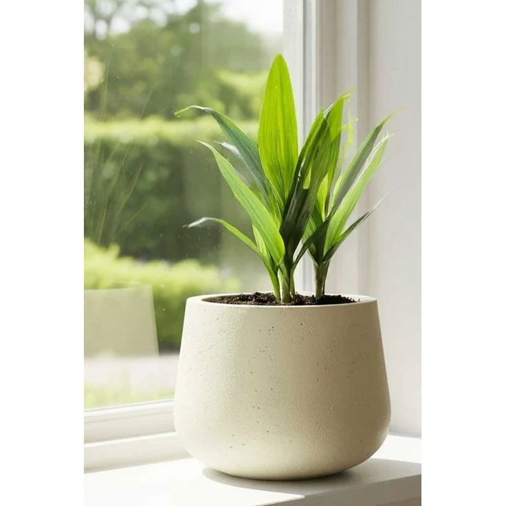 VIVANNO Blumentopf Fiberglas GIRAR Rund - Vesuvbeige Matt (1 St), 36x27 cm – Bild 4