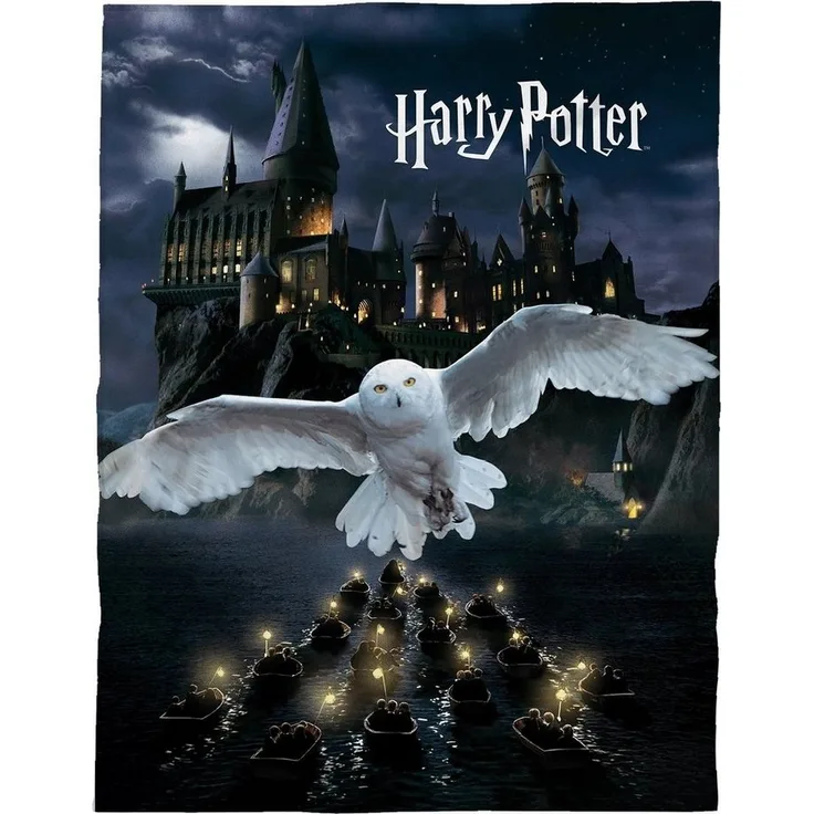 Harry Potter Kuscheldecke für Kinder und Teenager mit Eule Hedwig | Große Tagesdecke 150x200 cm