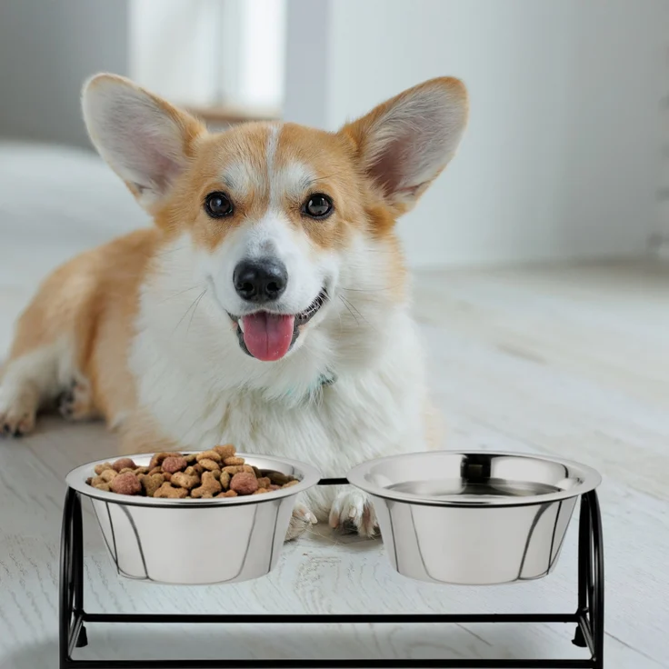Futterstation für Hunde – Bild 5