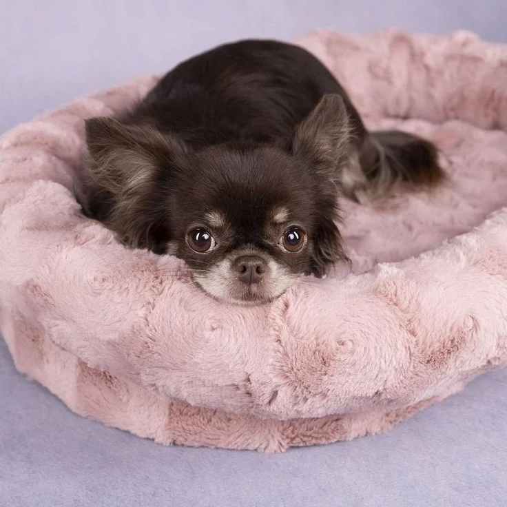 Flamingo Tierbett Hundebett Dorian oval rosa – Bild 2