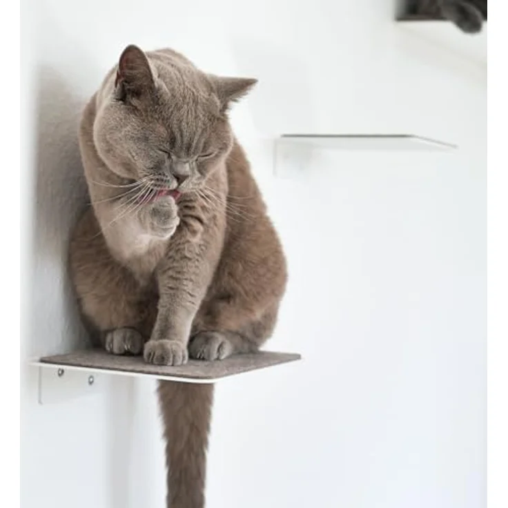LucyBalu Katzen-Kletterwand Katzentreppe, Katzen Kletterwand, Katzenleiter, Katzenstufen, 3er Set, Pulverbeschichtetes Stahlblech mit Filzauflagen – Bild 6