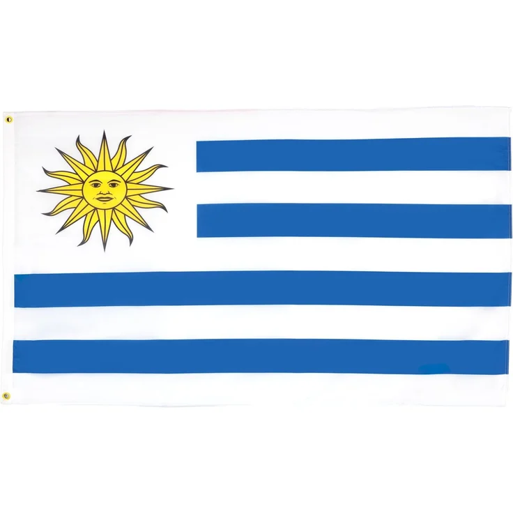 AZ FLAG - Flagge Uruguay - 90x60 cm - Uruguayische Fahne 60x90 Cm Feiner Polyester - Flaggen