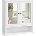Vasagle Spiegelschrank 2 Spiegeltüren und Ablage, verstellbare Regalebene, 13 x 56,5 x 58,5 cm, weiß