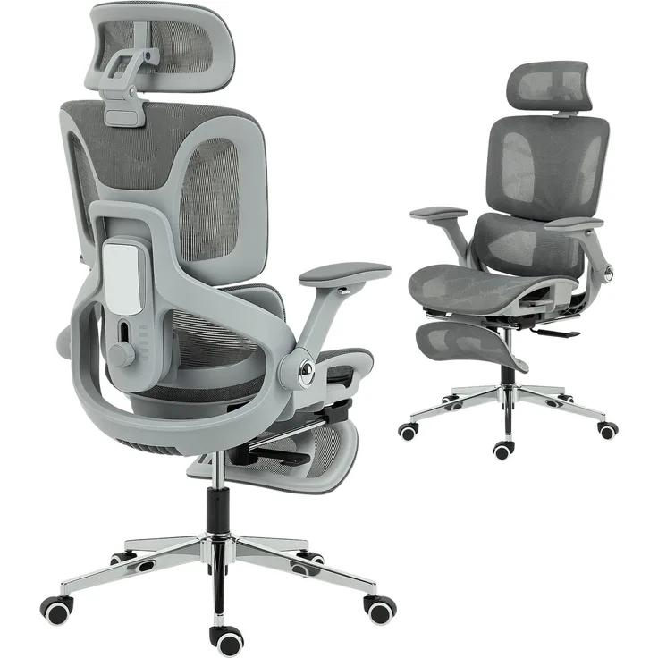 MELAYR, Ergonomischer Bürostuhl, Mesh-Computersessel mit separatem Rücken, Lendenstütze, 74 x 67 x 132 cm, Grau