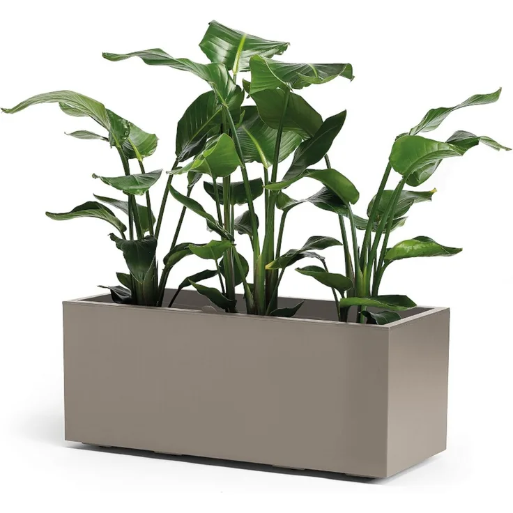 Pflanzkasten GREENER KEBE 100 cm taupe – doppelwandiger Pflanzkasten mit Wasserreservoir und Rollen UV- und temperaturbeständig nachhaltig recycelbar