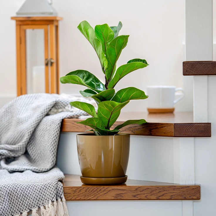 KADAX Blumentopf mit Ständer, Kunststoffabdeckung, 12 cm goldener Topf für Blumen – Bild 7
