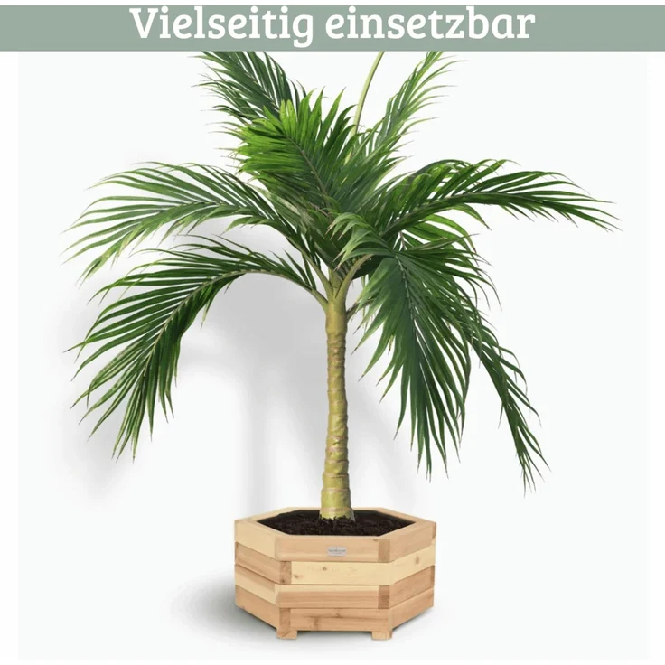 Pflanzkasten Holz 6-eckig MICHA - Inkl. Vlies und Handschuhe | Pflanzkübel Tannenholz Blumenkasten Blumenkübel Blumentopf Terrasse, 60cm Breit – Bild 6