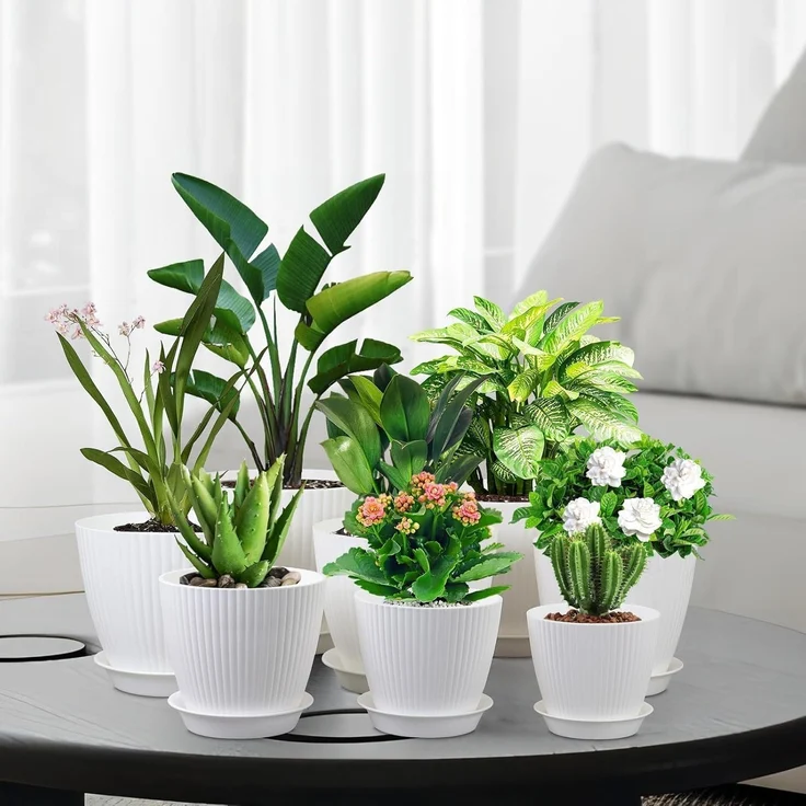 Homeuouz 8er Set Blumentopf mit Untersetzer 19/17.5/16.5/16/14/13/11.5/10cm – Bild 6