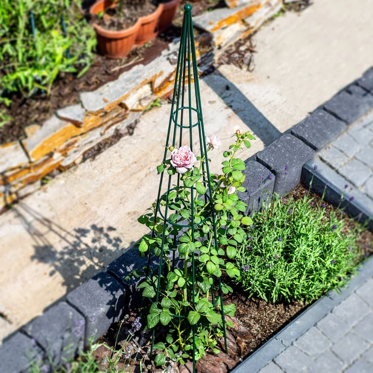 KADAX Gartenkegelstütze für Kletterpflanzen 150 cm – Bild 8