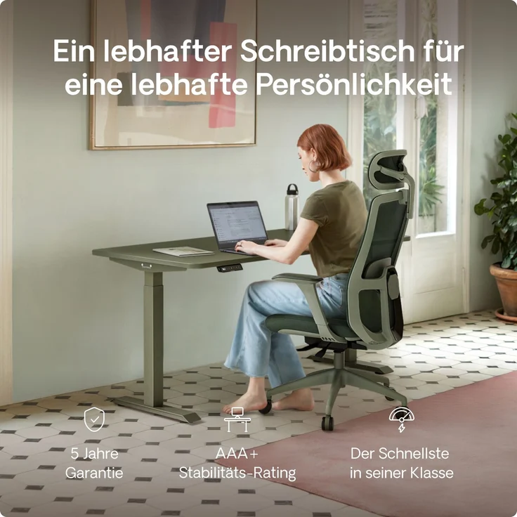 Desktronic HomeOne Elektrisch höhenverstellbarer Schreibtisch 160x80cm Schwarz/Grün mit Memory-Funktion, Anti-Kollisions Technologie, USB-A und USB-C-Ladeanschlüssen – Bild 2