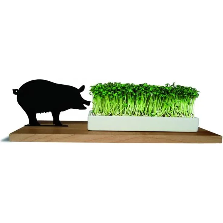 Kresseschale Schwein aus Holz / Porzellan 27 cm von SIDE BY SIDE