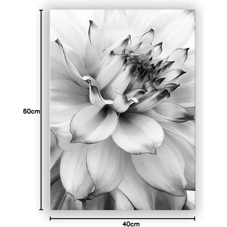 Poster Set 3teilig Blume Löwenzahn Schwarz Weiß Wanddeko B 40x60cm – Bild 8