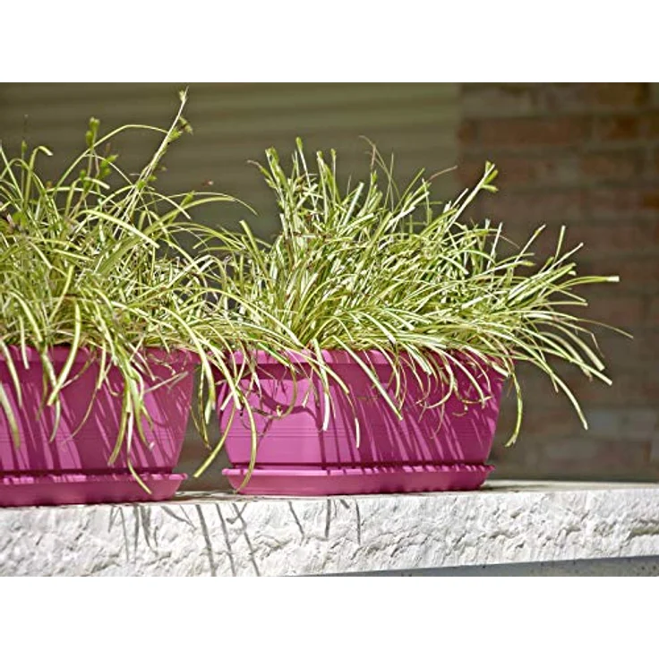 Kasten INIS 50cm cyclam – Bild 2