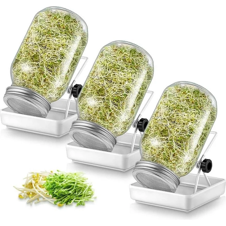 Ecooe Sprossen Keimglas Set Sprouting Jar Edelstahl 304 Ständer 3er 750ml – Bild 1