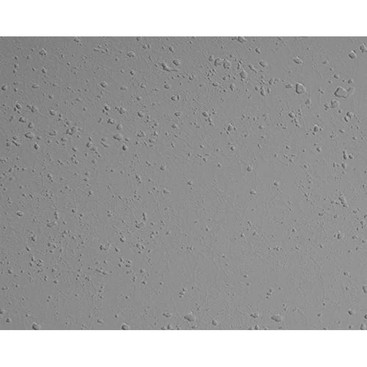 ONDIS24 Pflanzkübel Blumenkübel Blumentopf Vulkan 100cm Vulkan/Basalt Optik, mit Wasserspeicher Pflanzenkasten winterfest, 100 x 40 x 43,5 (H) cm – Bild 7